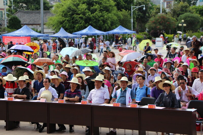 楚雄州首个“文化和自然遗产日”活动异彩纷呈